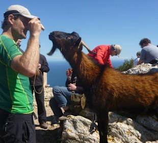Tiere hautnah erleben