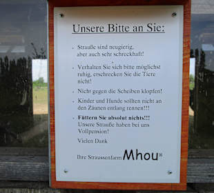 Straußenfarm Mhou Rülzheim