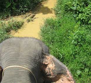 Elefantenritt