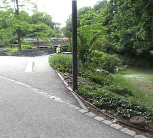 Wallgraben - Alter Botanischer Garten