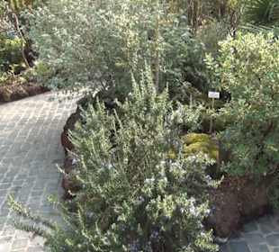 Kanarenschauhaus - Berggarten