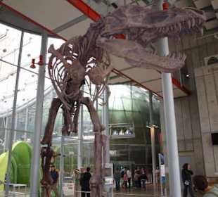 California Academy of Sciences