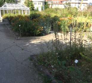 Schmuckhof Botanischer Garten