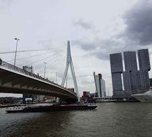 Erasmusbrücke 