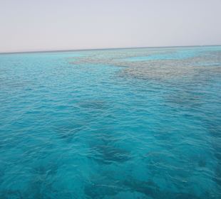 Korallenriff vom Boot aus