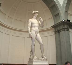 Statue of David, Unbelievable!