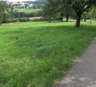 Sonnenaufgangs-Rundwanderung Rübgarten