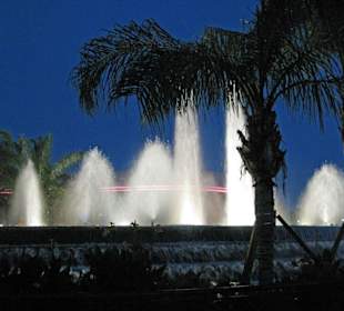 Es ist Abend in Epcot...