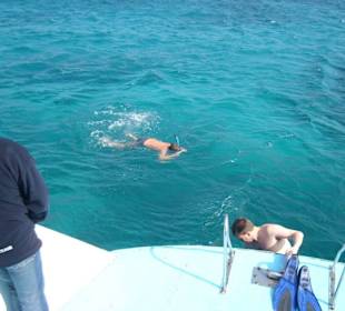 Schnorcheltour am Dolphinshome Riff