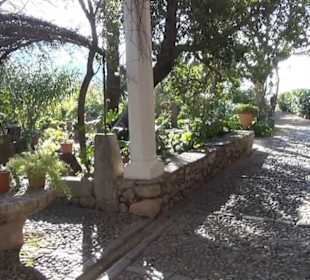 Son Marroig