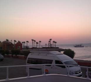 Good morning Shakira