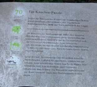 Dinosaurier Museum Altmühltal