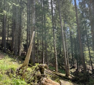 Radfahren Oberstdorf