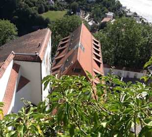 Batterie-Katz