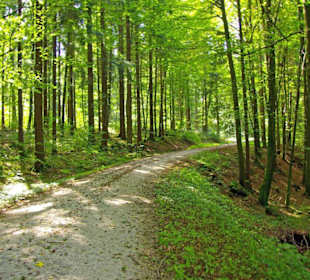 Der Therapeutische Wanderweg
