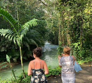 Floßfahrt auf dem Martha Brae