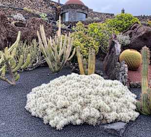 Jardin de Cactus / Kaktusgarten Guatiza