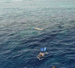 Tauch- und Schnorcheltour