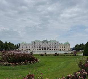 Belvedere 