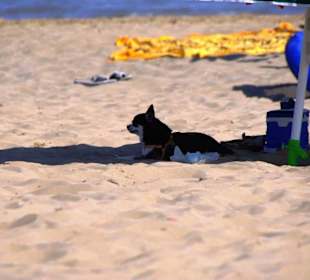 Schattiges Plätzchen