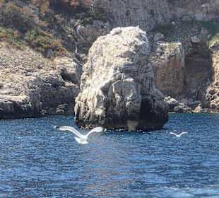Ausblick auf die Küste