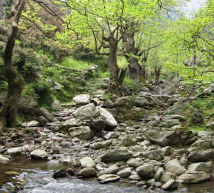 Der Schluchtwanderweg geht weiter