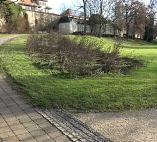 Natur im Park