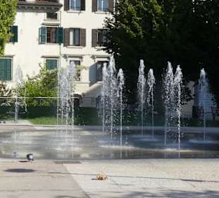 Springbrunnen Altstadt