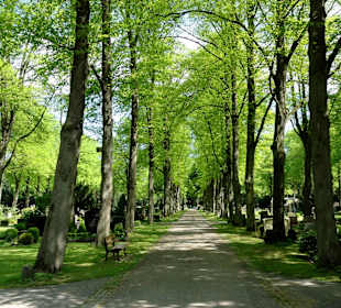 Spaziergang über den Friedhof Riensberg