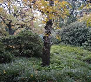 Parkanlage Planten un Blomen