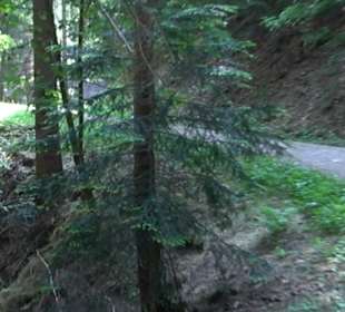 Teufelskanzelsteig Bad Griesbach