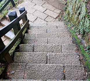 Elephant Mountain Xiangshan Hiking Trail 