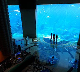 Aquarium in dem man auch tauchen kann