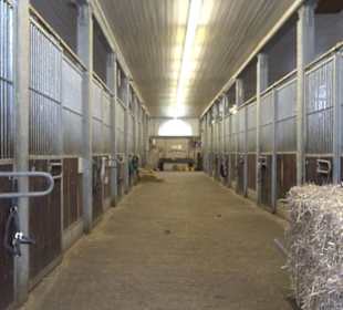 Haupt- und Landgestüt Marbach