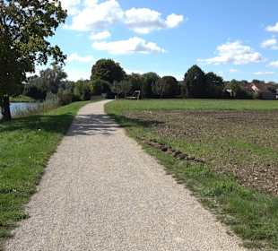 Schaukelweg an der Donau