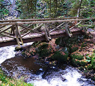Wandern Hinterzarten