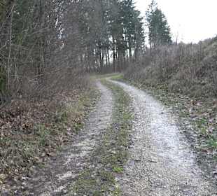 Brühl-Brünnele Ehestetten