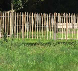 Schaukelweg an der Donau