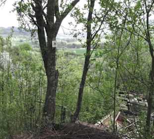 Wanderweg Firstwaldrunde