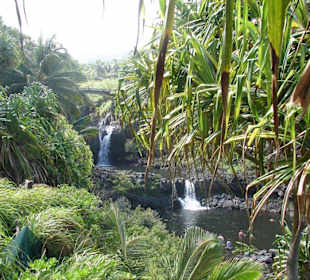 Maui Seven Pools
