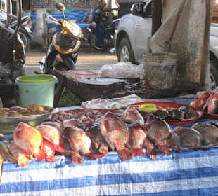 Frischer Fisch