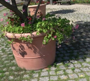 Neckarmünzplatz