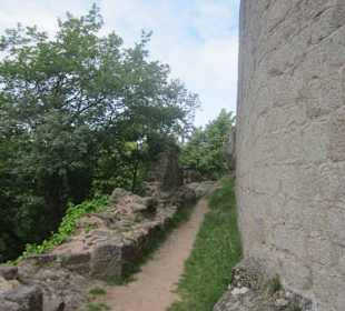 Burgruine Hoh-Andlau