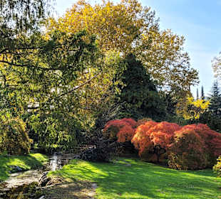 Tolle Herbstfärbung