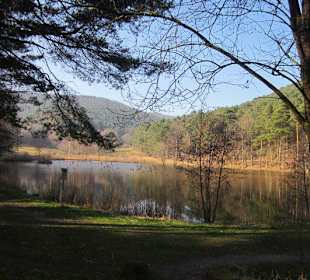 Der wunderschöne Sandwiesenweiher