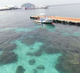 Pulau Paya