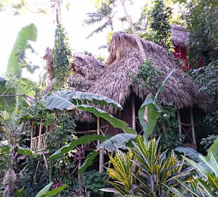 Baumhaus am Wasserfall