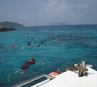 Schnorcheln vom Boot