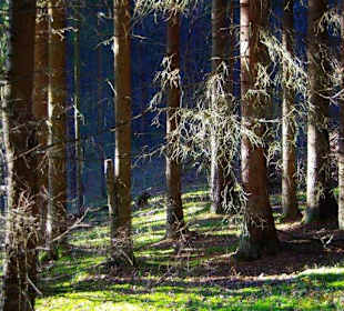 Kletterparadies in Kirchenbirkig