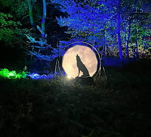 Herbstlichter Brückenkopfpark